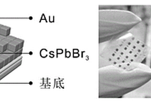 基于CsPbBr3-Au的柔性光致增强拉曼传感器及其制备和应用