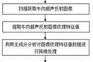 基于超声成像技术的冷鲜牛肉与解冻牛肉的鉴别方法