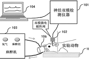 全身麻醉神经机制研究急性实验平台及慢性实验平台