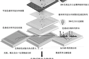 以平面色谱成分微阵列高通量筛选复杂成分中生物活性成分的方法及其应用