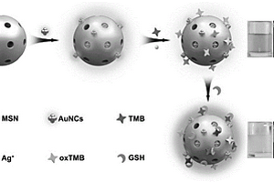 基于SiO2-AuNCs纳米复合材料的生物传感器及其构建方法和应用