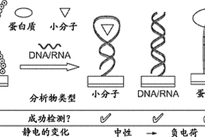 多用途和灵敏的生物传感器