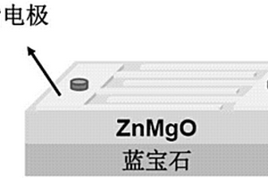 ZnMgO紫外探测器