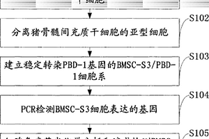 可防治猪支原体肺炎的干细胞制剂的制备方法