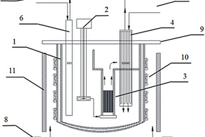 液态金属冷却反应堆集成测试装置