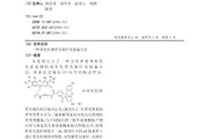 双发色团荧光探针及制备方法