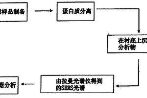 使用拉曼光谱法获取生物样品的蛋白质图谱的方法