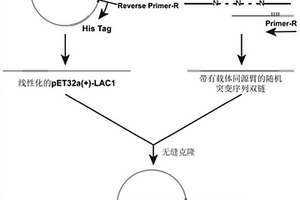 运用特定区段随机突变法改造漆酶的方法及漆酶菌株LAC123