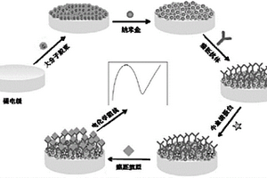 基于γ-聚谷氨酸接枝多巴胺@壳聚糖复合胶束的免疫传感器的制备方法