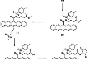 吖啶盐衍生物及其合成方法和应用