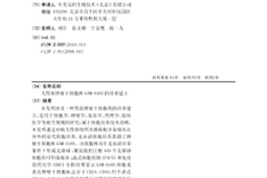 人胃癌肿瘤干细胞株GAM-016S的培养建立