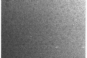以葱为原料微波制备荧光碳点的方法