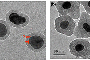 基于共轭聚合物的表面增强拉曼‑荧光双模纳米探针及其制备方法