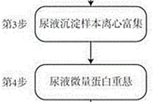 尿液微量蛋白的富集、纯化和保护方法