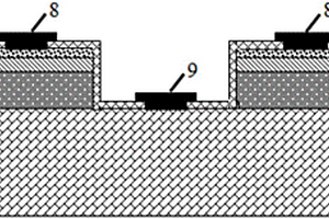 台面式硅掺砷阻挡杂质带探测器及其制备方法