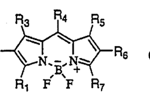 双光子吸收二吡咯亚甲基二氟化硼染料及其应用