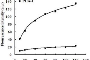 铜绿假单胞菌IV型菌毛蛋白PilA的适配体PilA-1及用途