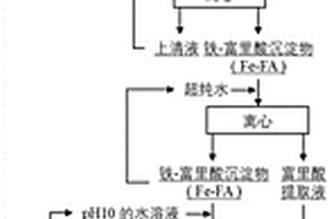 从地表水和/或土壤中分离和提取富里酸的方法