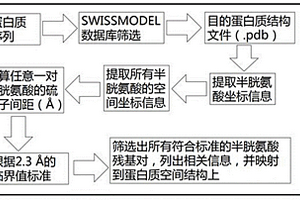 基于蛋白质空间结构的二硫键预测方法