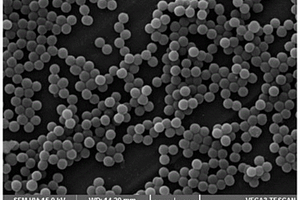 超疏水耐腐蚀抗菌纳米涂料、涂层及其制备方法