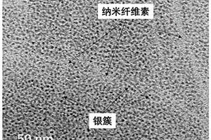 纳米纤维素基荧光银纳米簇及其制备方法与应用