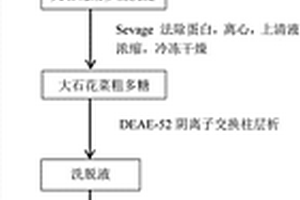 具有免疫调节作用的大石花菜多糖的制备方法及结构部分表征及其应用