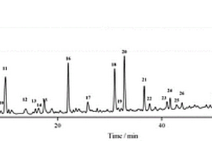 桑叶高效液相色谱指纹图谱的建立结合多成分含量测定在桑叶质量评价中的应用