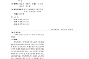 藻红蛋白标记抗STI抗体、制备方法及其用途