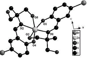 具抗癌活性的配合物[Zn(H2L4)2].(H2O)的合成及应用