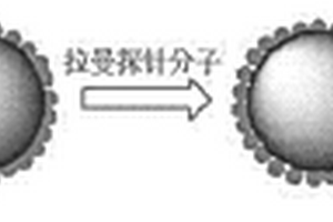 SERS标签微球及其制备方法