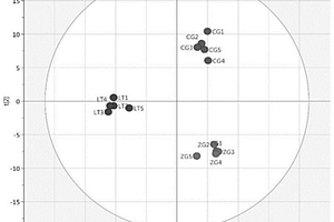 基于<Sup>1</Sup>H NMR代谢组学对人参不同部位粉体真伪的鉴别方法