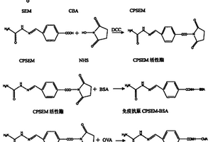 氨基脲衍生物及其单克隆抗体与应用
