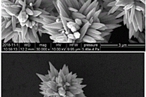 花状氧化锌纳米片聚集材料及其制备方法、应用