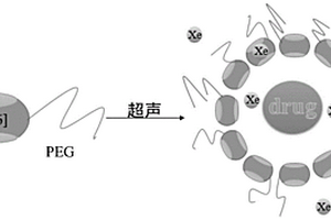 可以递送疏水性药物的超极化<Sup>129</Sup>Xe磁共振分子探针