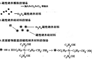 表面修饰胺基的磁性纳米材料及其制备方法和应用