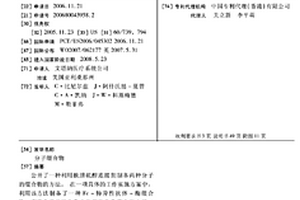 分子缀合物