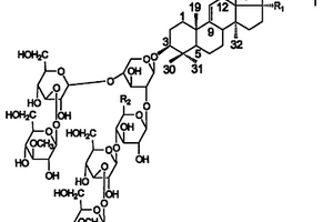 蛇目白尼参中的一种皂苷类抗肿瘤化合物