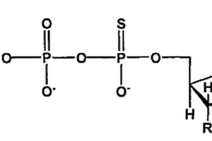 可脱保护的硫代核苷酸单体