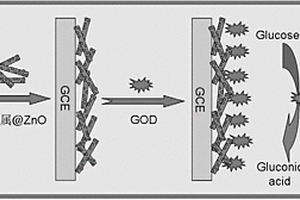 贵金属掺杂氧化锌纳米棒的葡萄糖传感器的制备方法