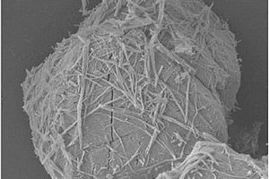 锌金属有机骨架纳米材料及其应用