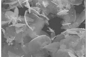 表面洁净的超薄Ag纳米片及其制备方法