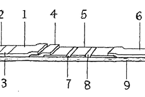 双联法便潜血快速诊断层析试纸
