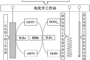 快速测定溶解性有机物电子转移能力的方法