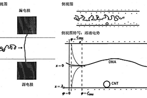 集成电荷传感器的纳米流体通道及基于该纳米流体通道的方法