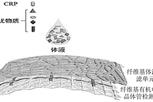 非侵入式一体化纤维基C反应蛋白传感器