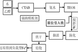 纳米级零价铁载体及其制备方法与应用