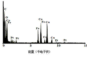 异质结构FeCo-Pt合金纳米棒的制备方法