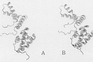 利用计算机模拟蛋白质相互作用的方法