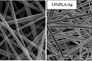 电纺PLLA/Ag抗菌复合膜的制备方法