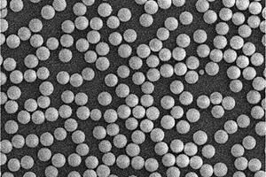 功能化均粒多孔二氧化硅微球及其制备方法和应用